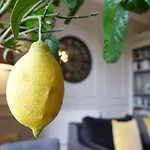 Newly 1 Bedroom renovated apartment