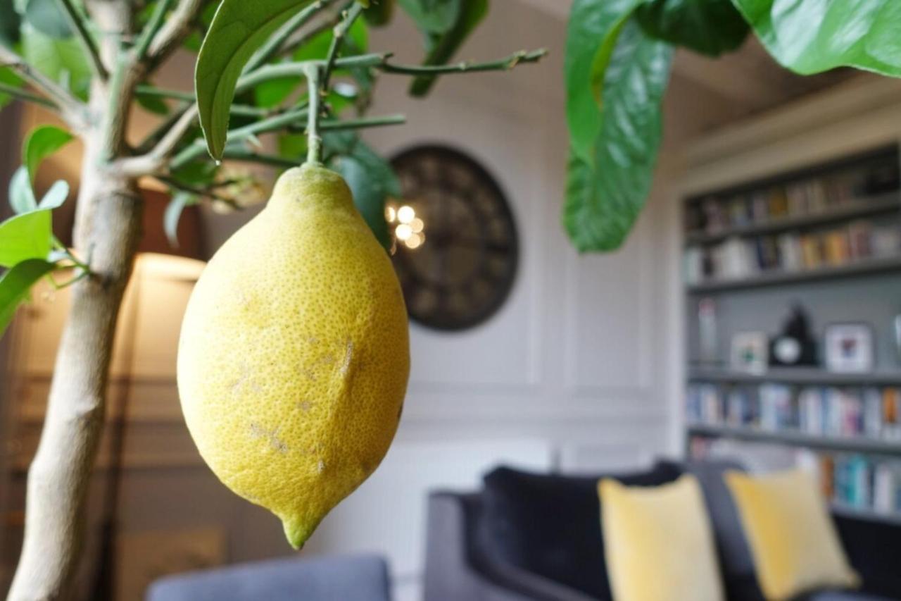 Appartement Luxurious Newly Renovated Dublin